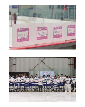 Image post by @cnsicehockey on Instagram