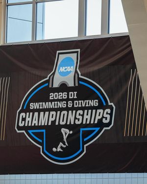 Image post by @fsuswimdive on Instagram