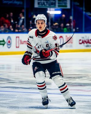 Image post by @ohlicedogs on Instagram