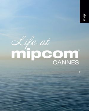 Image post by @mipmarkets on Instagram