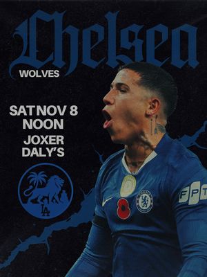 Image post by @lachelseablues on Instagram