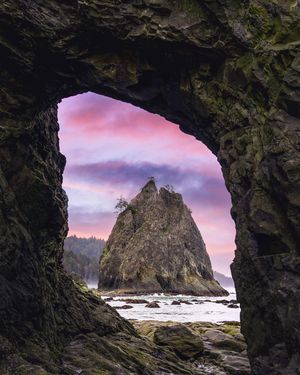 Image post by @theryan_reynolds on Instagram