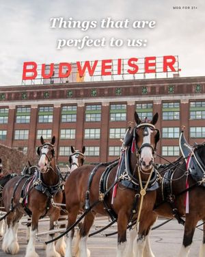 Image post by @anheuserbusch on Instagram