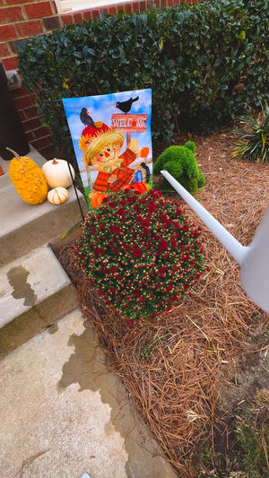 Video post by @lowes on Facebook