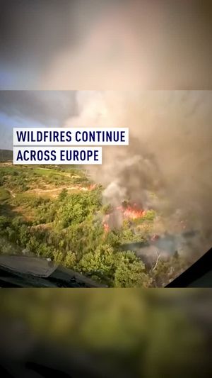 Video post by @cgtneurope on Instagram