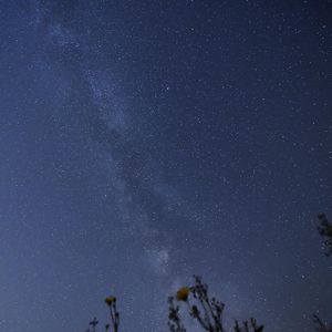 Image post by @jasenvinlove on Instagram