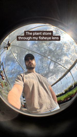 Video post by @amadeusdeus on TikTok