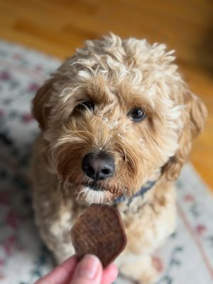 Image post by @farmtopet on Instagram