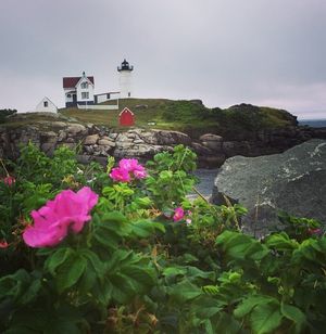 Image post by @themainemag on Instagram