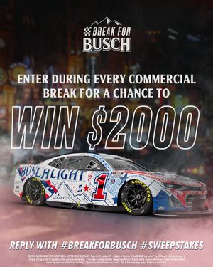 Image post by @BuschBeer on Twitter