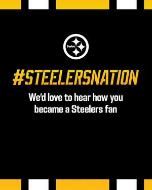 Image post by @steelersireland on Instagram