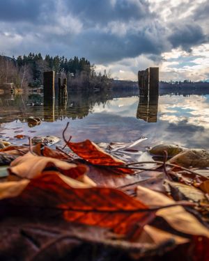 Image post by @cristan.nature.photography on Instagram