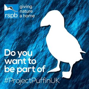Image post by @rspb on Instagram