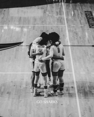 Image post by @nsu_wbasketball on Instagram