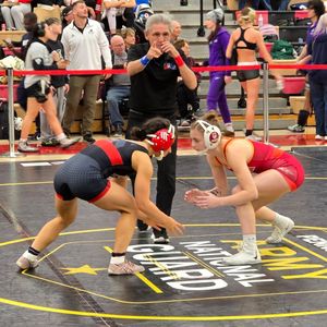 Image post by @sophie_dog922 on Instagram