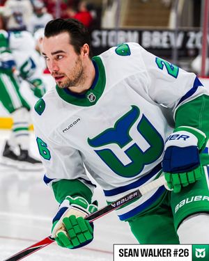 Image post by @nhl on Instagram