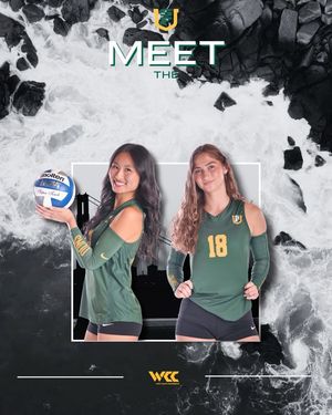 Image post by @usfdonsvb on Instagram