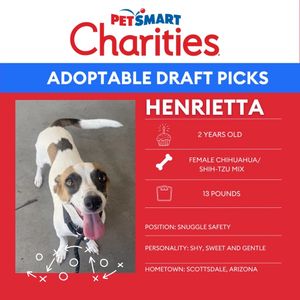 Video post by @petsmart on TikTok
