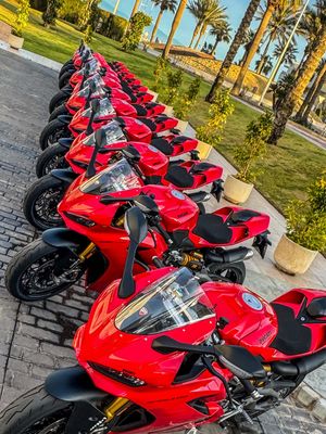 Image post by @panigalers on Instagram