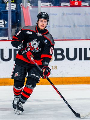 Image post by @ohlicedogs on Instagram