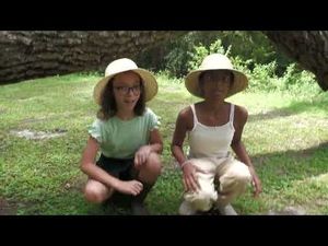 Video post by @jennifercelentano on YouTube