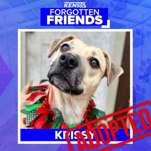 Image post by @kens5 on Instagram
