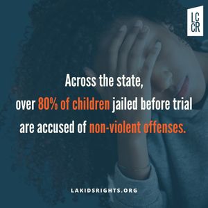 Image post by @lakidsrights on Instagram