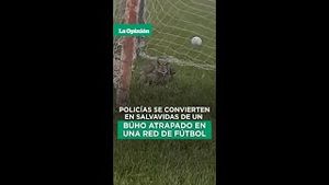 Video post by @laopinionla on YouTube