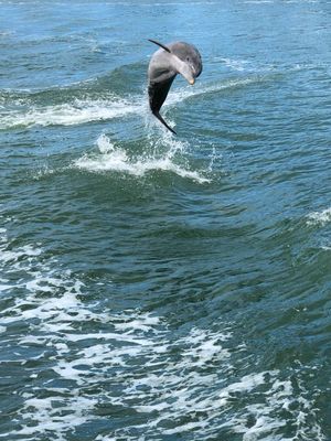 Image post by @SuperScienceFL on Facebook