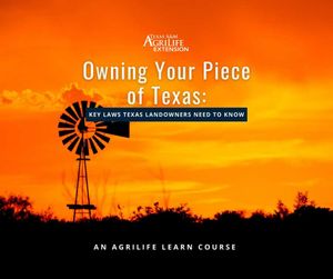 Image post by @txextension on Instagram