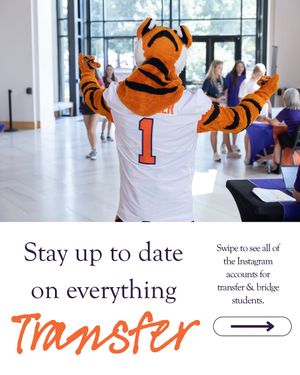 Image post by @cutransfers on Instagram