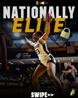 Image post by @vandalswbb on Instagram