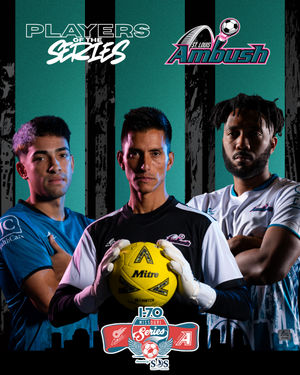 Image post by @stlouisambush on Instagram