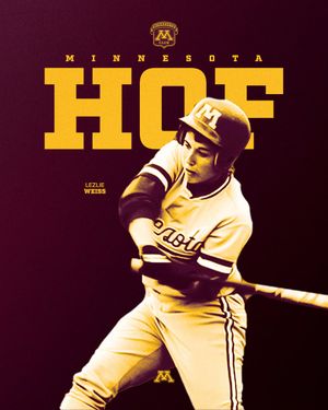 Image post by @gophersoftball on Instagram