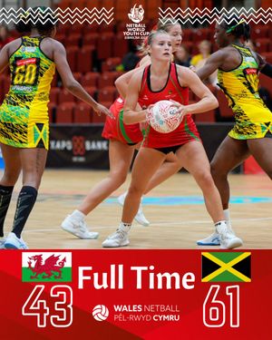 Image post by @walesnetball_ on Instagram