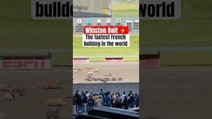 Video post by @bleacherreport on YouTube