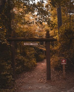 Image post by @throughcollinseyes on Instagram
