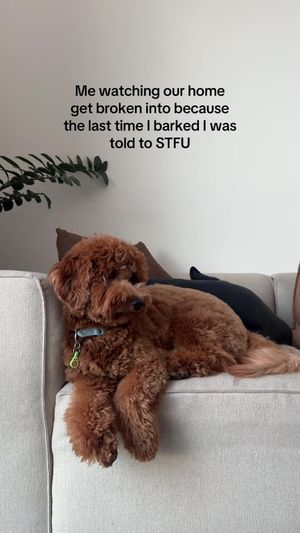 Video post by @tedflixnchill on TikTok