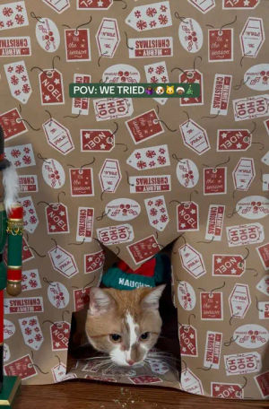 Image post by @raechristine___ on TikTok