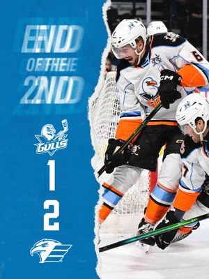 Image post by @SDGullsAHL on Twitter