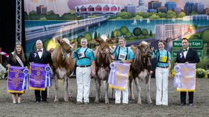 Image post by @wdexpo on Instagram