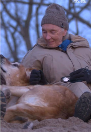 Video post by @60minutes on TikTok