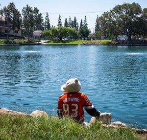 Image post by @wildwingana on Instagram