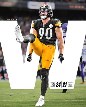 Image post by @steelers on Instagram