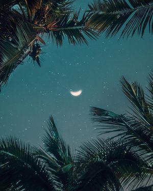 Image post by @amaurys_figueroa on Instagram