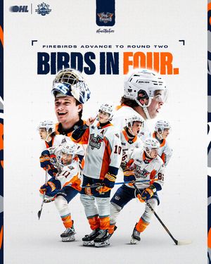 Image post by @flintfirebirds on Instagram