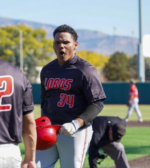 Image post by @unmloboathletics on Instagram
