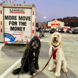 Image post by @uhaul on Instagram