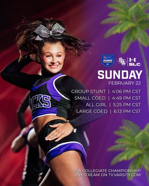 Image post by @sfa_cheer_ on Instagram