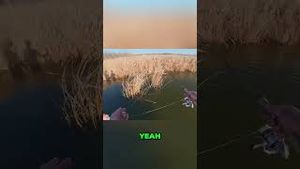 Video post by @lakeforkguy on YouTube